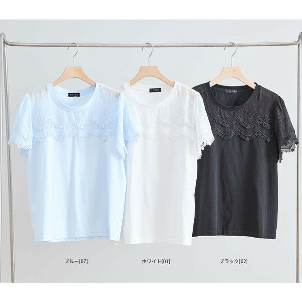 【M〜L】レース袖が映えるコットンTシャツ|上品透け感&伸縮・N12-648 TRUBE