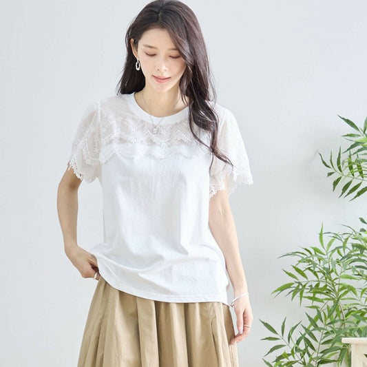 【M〜L】レース袖が映えるコットンTシャツ｜上品透け感＆伸縮・N12-648 TRUBE
