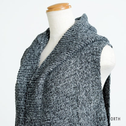 ベスト ロングベスト ニット フード付き 前開き レイヤード 秋 冬 F レディース
